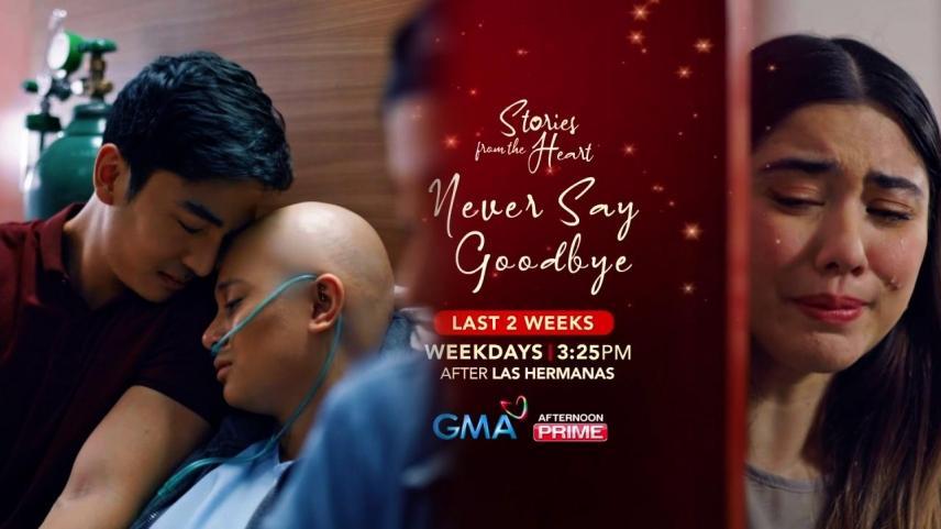 Stories From The Heart Never Say Goodbye 