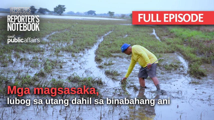 Mga magsasaka, lubog sa utang dahil sa binabahang ani