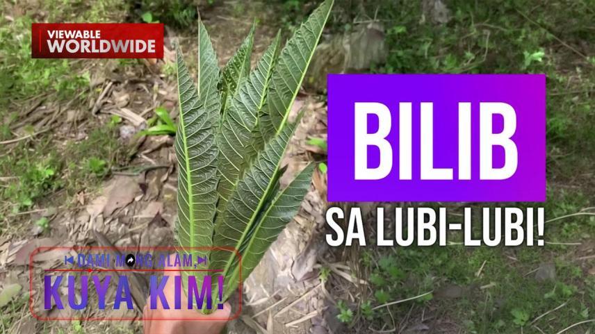 Dami Mong Alam, Kuya Kim!