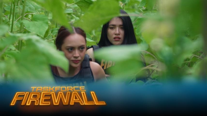 Taskforce Firewall