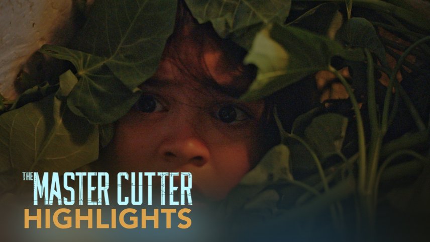 The Master Cutter