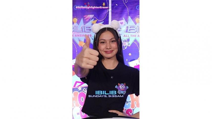 iBilib Highlighter Eraser