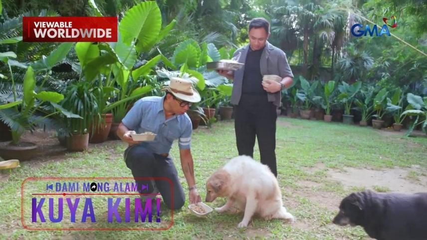 Dami Mong Alam Kuya Kim