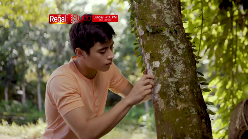 Regal Studio Presents