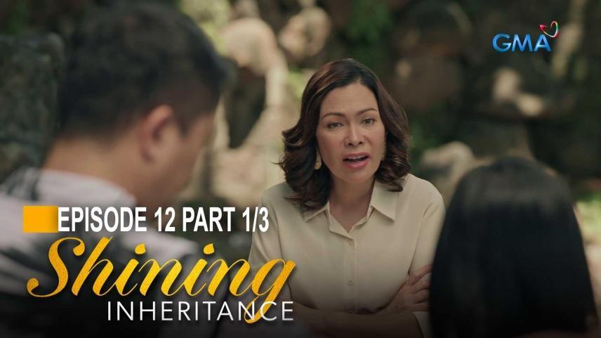Shining Inheritance