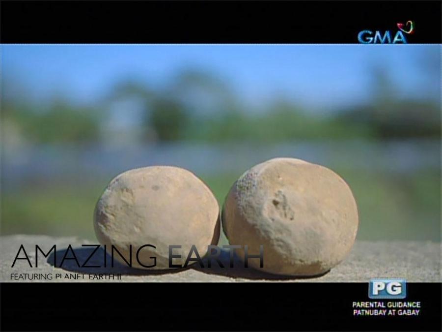 Amazing Earth What are bokashi balls?