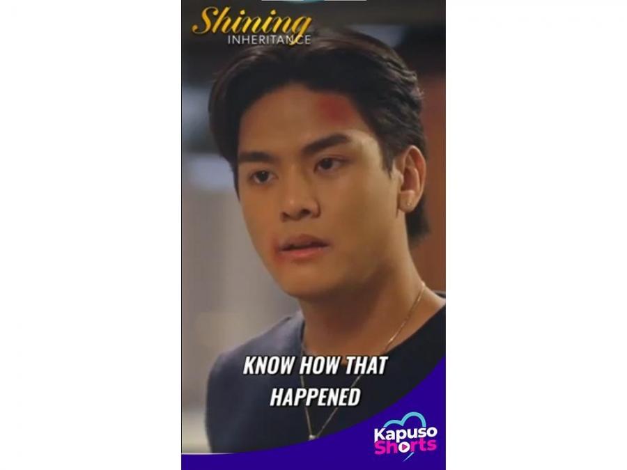 Shining Inheritance'