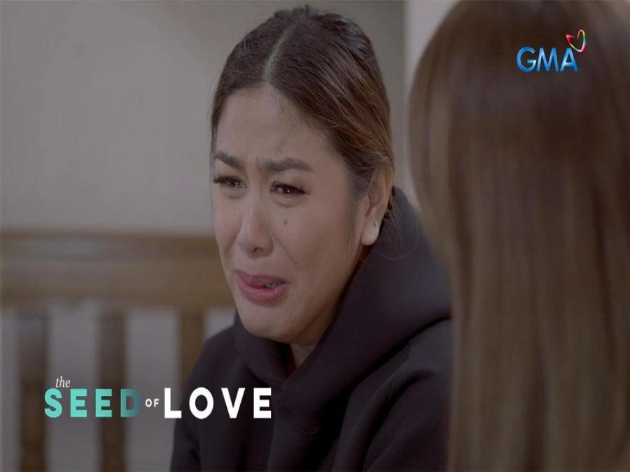 The Seed Of Love The Wicked Mistress And Her Guilty Conscience Episode 71 Gma Entertainment 8610