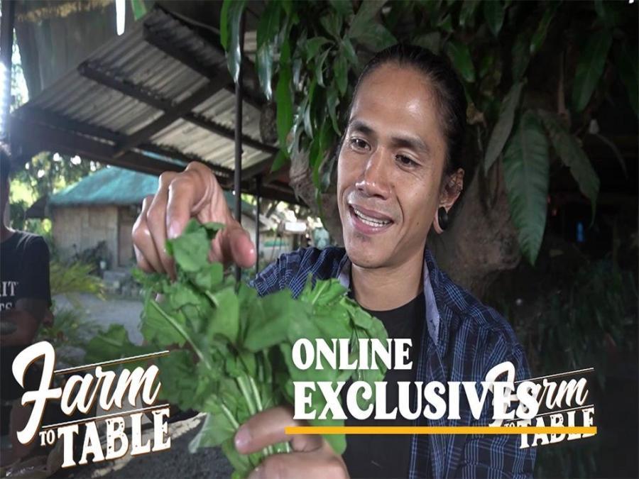 The 'Farm To Table' crew tastes ARUGULA | Farm To Table Online Exclusive