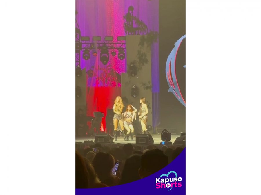 Kapuso Shorts