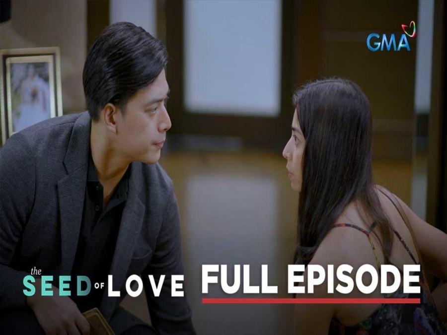 The Seed Of Love Full Episode 45 July 7 2023 The Seed Of Love Home Full Episodes 5384