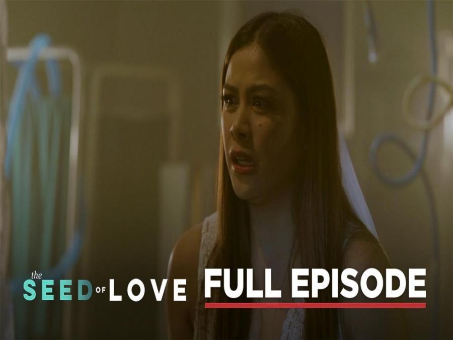 The Seed of Love Finale Full Episode 79 (August 25, 2023) GMA