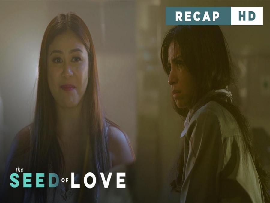 The Seed Of Love: Is It A Happy Ending For Eileen And Bobby? (Weekly ...