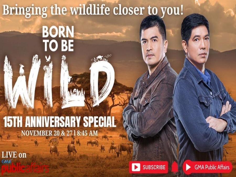 Born to be Wild (November 27, 2022) | LIVESTREAM | GMA Entertainment