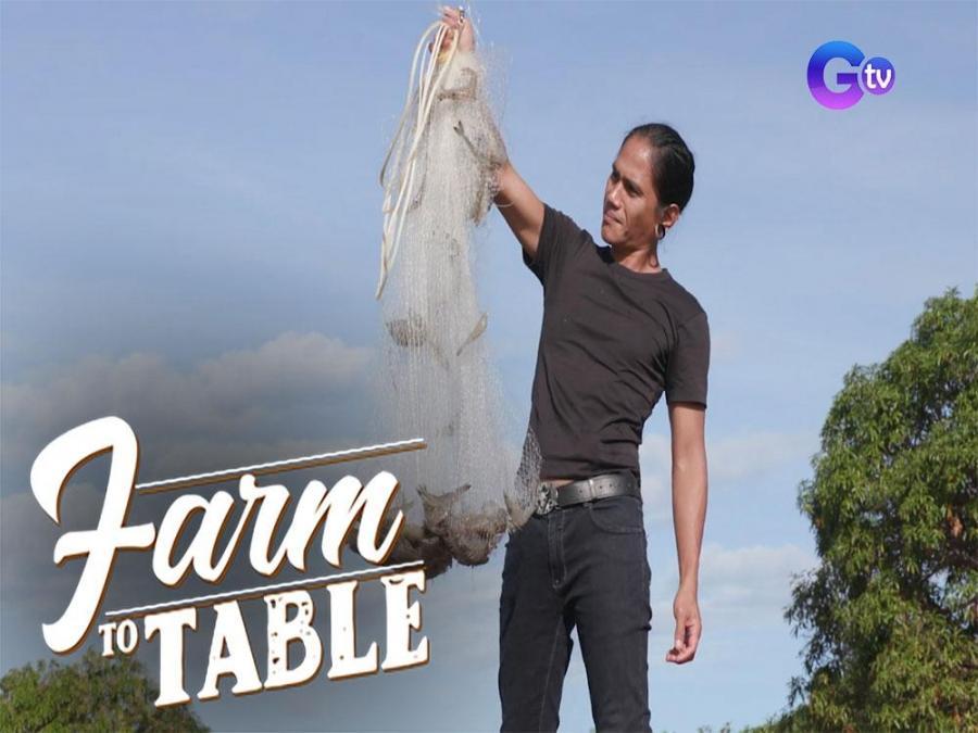 The secret behind why shrimp is expensive! Farm To Table
