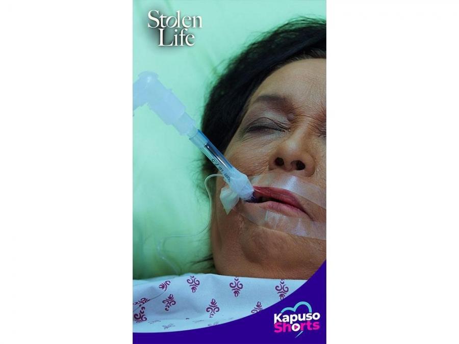 Stolen Life