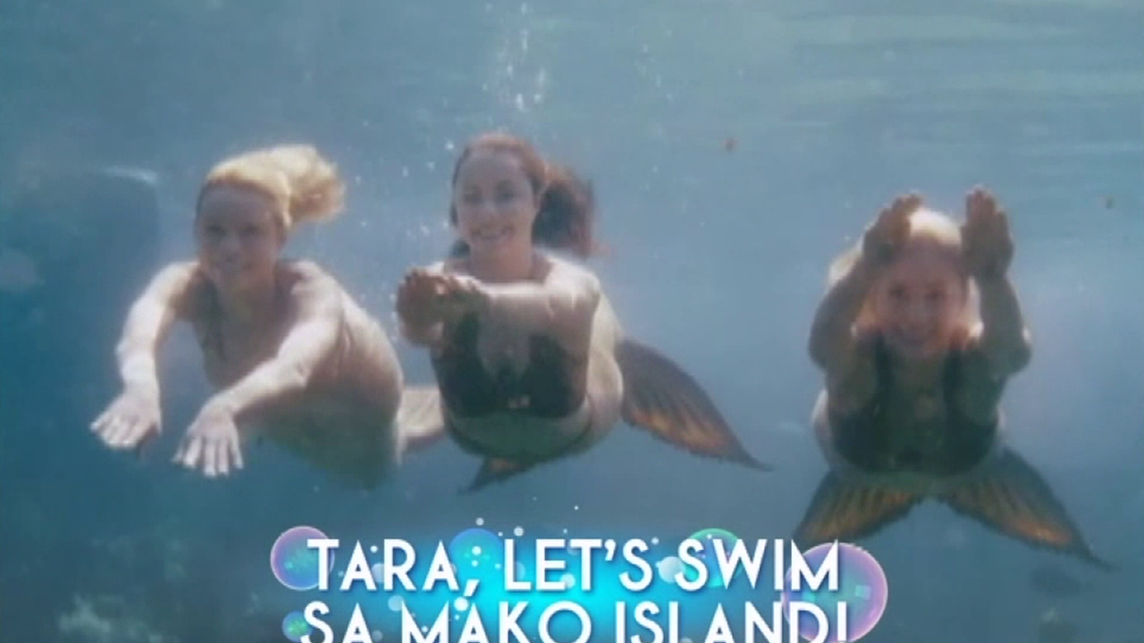 Mako Mermaids - News