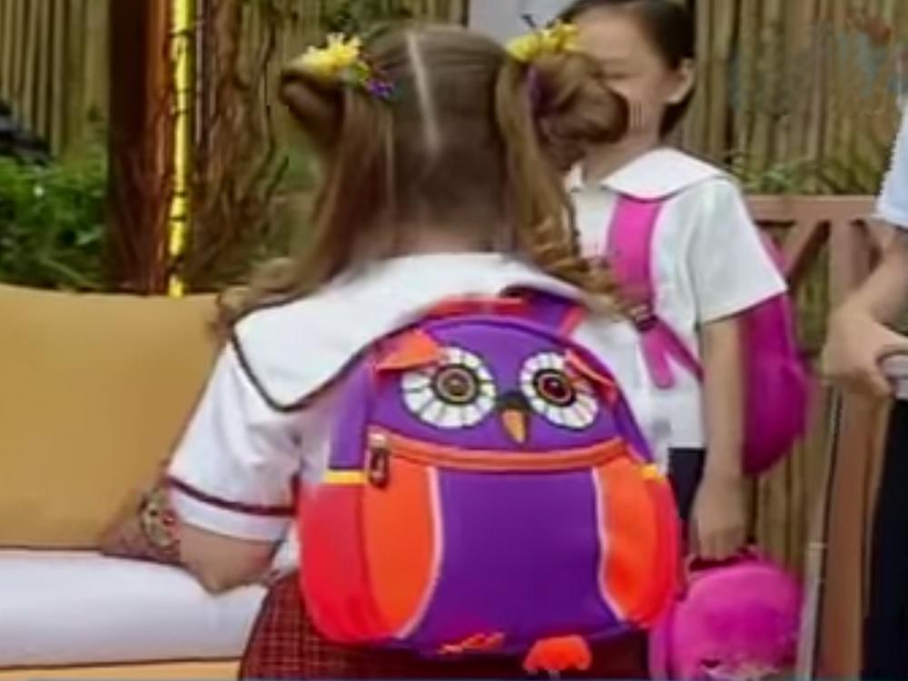 School bags for every school level