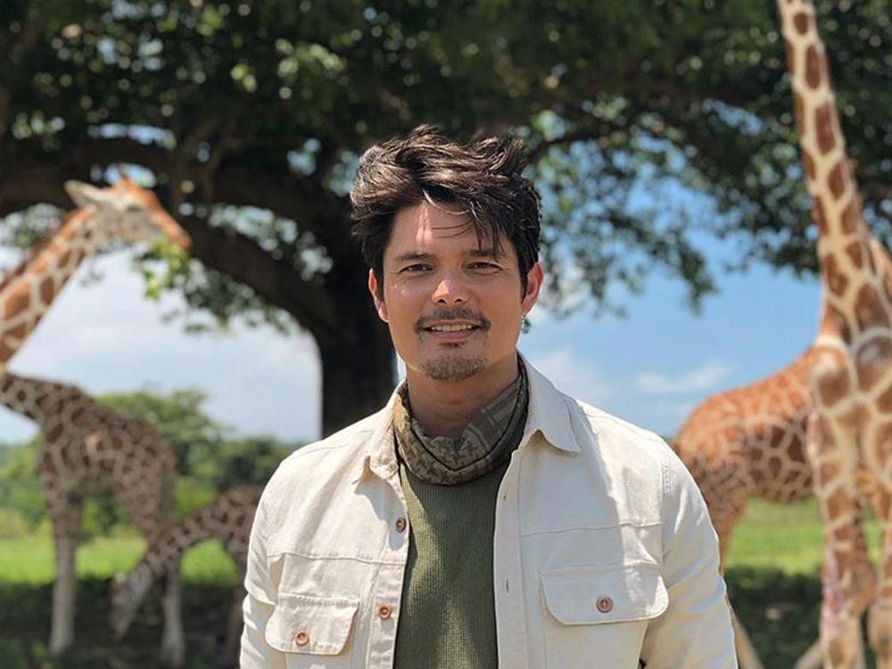 Dingdong Dantes