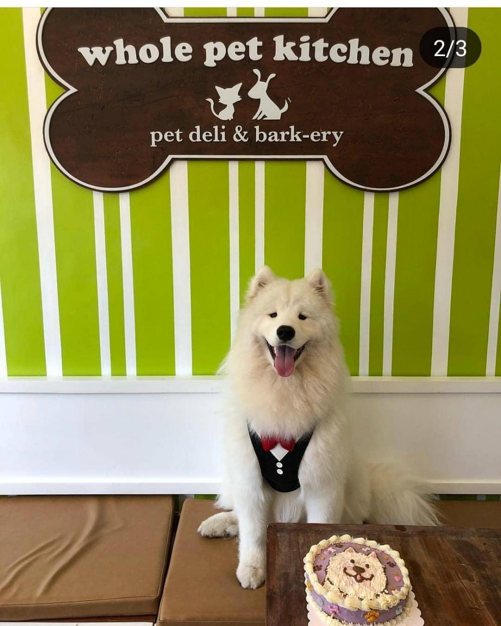 wholepetkitchen (IG)