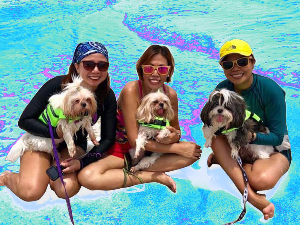 You'd be amazed at how these pet owners treat their fur babies