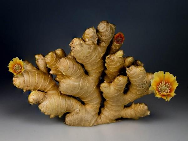 Image Source: Joris Neyt / Pexels