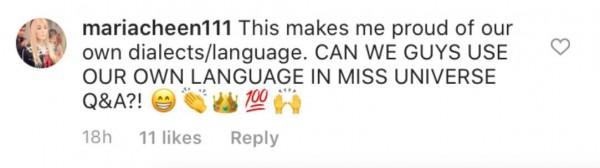 A comment from a netizen on Instagram