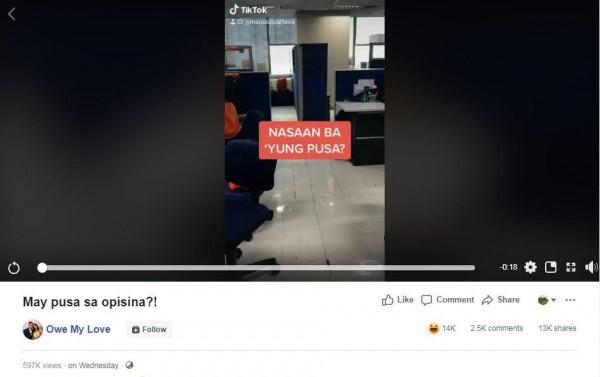 TikTok video ni Mahal na napagkamalang pusa, patok sa netizens