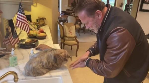 Arnold doing a hand was tutorial with fur baby Cherry / Source: schwarzenegger (IG) 