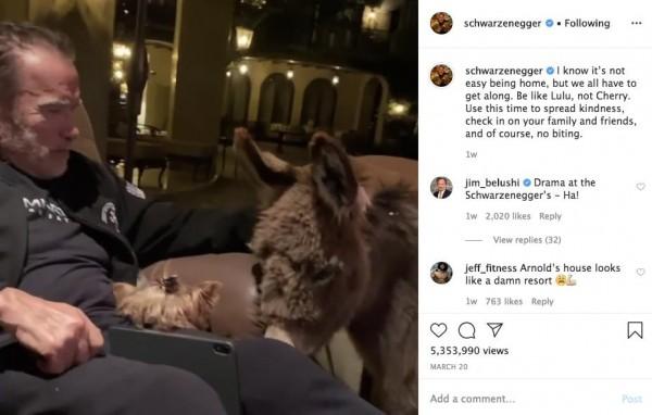Arnold stressed the importance of getting along during home quaratine / Source: schwarzenegger (IG) 