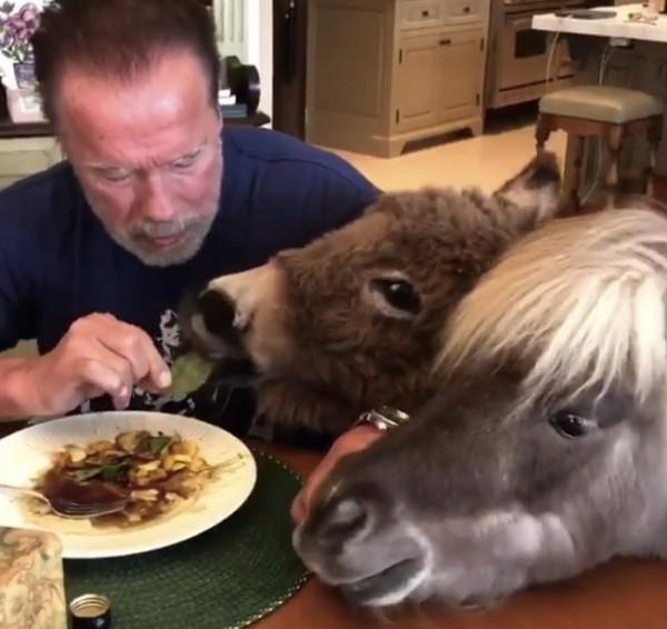 Sharing is caring / Source: schwarzenegger (IG) 