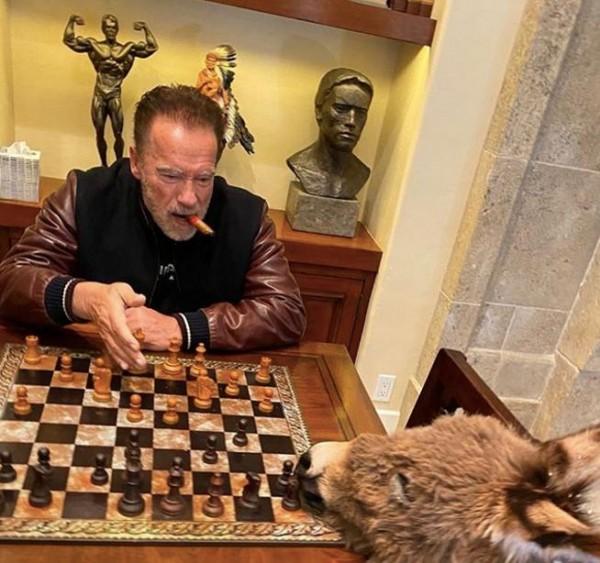 Lulu the donkey versus Arnold / Source: schwarzenegger (IG) 