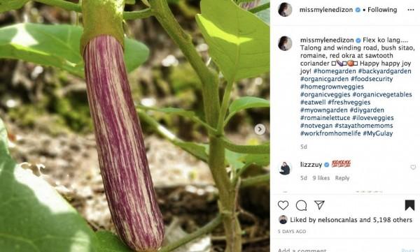 Mylene Dizon showing off the eggplant from her garden Source missmylenedizon IG 