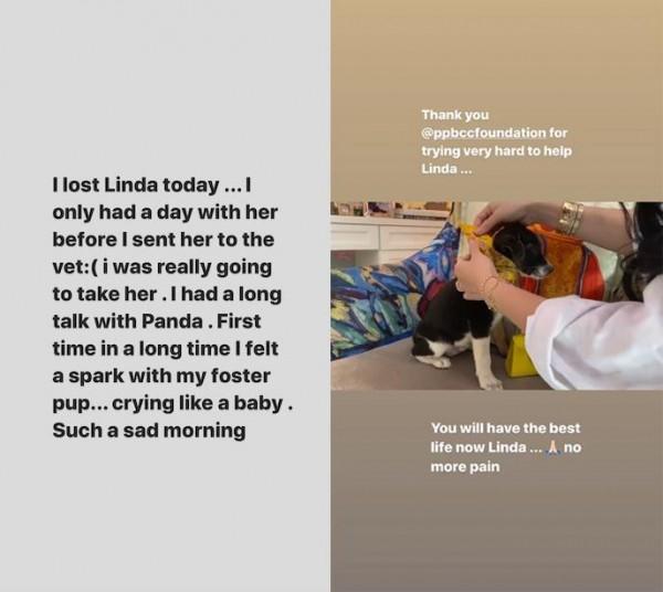 Heart s message for her puppy Linda