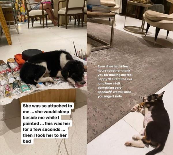 Heart Evangelista s moments with her puppy Linda