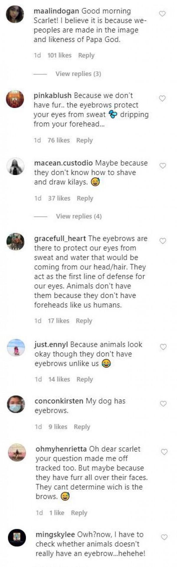 Netizens reply to Scarlet Snow Belo