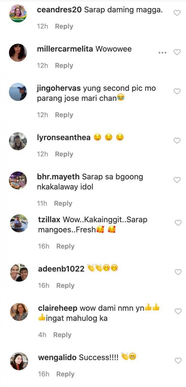 Mga puna ng netizens sa mangga post ni Lyn Ching