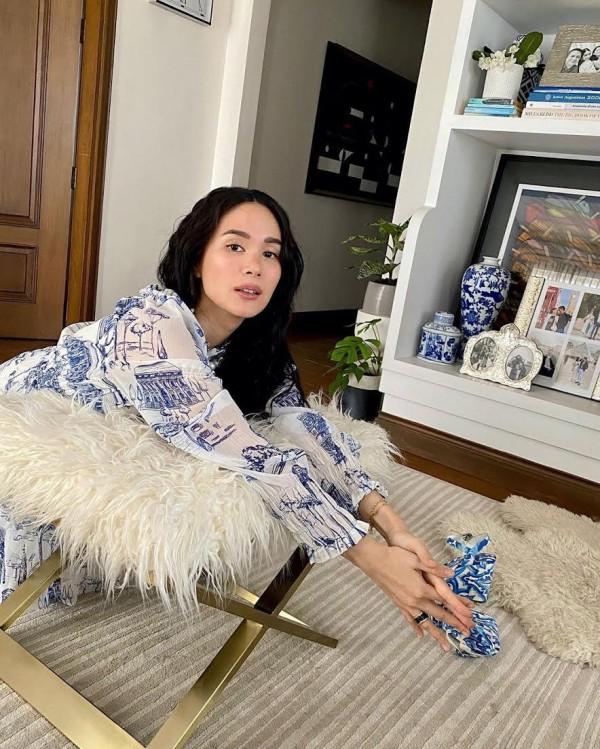 Heart Evangelista's indoor plants