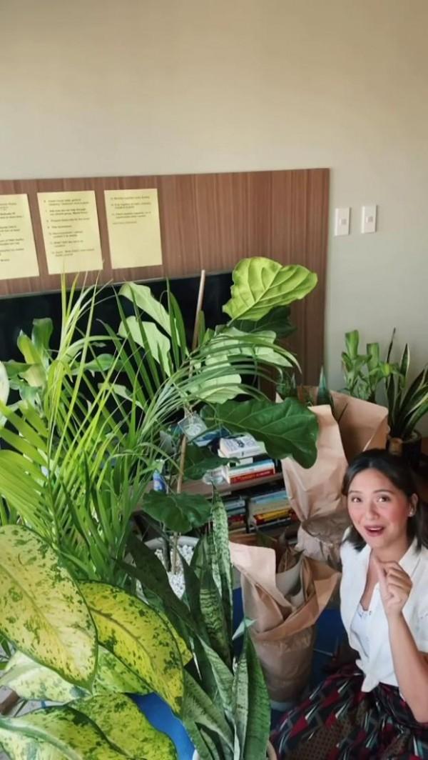 Joyce Pring's new plants