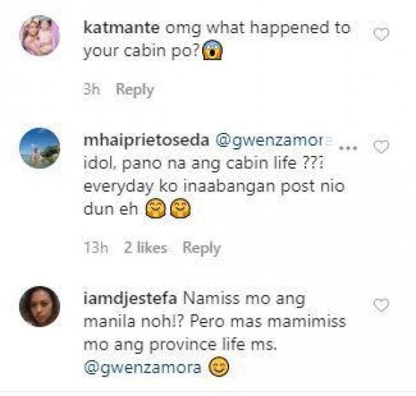 Netizens ask about Gwen and DJ s cabin life