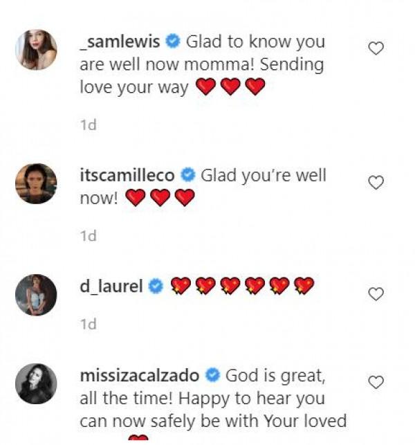 Screenshot taken from the comment section of Vanessa Matsunaga s Instagram account