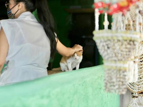 Screenshot taken from Heart Evangelista s Instagram account