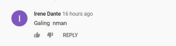 Screenshot taken from comment section of My Guitar Princess YouTube channel