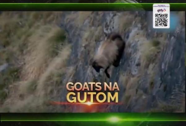 Amazing Earth August 30 episode