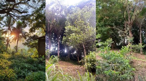 Descendants of the Sun Ph starts 12 day closed group shoot