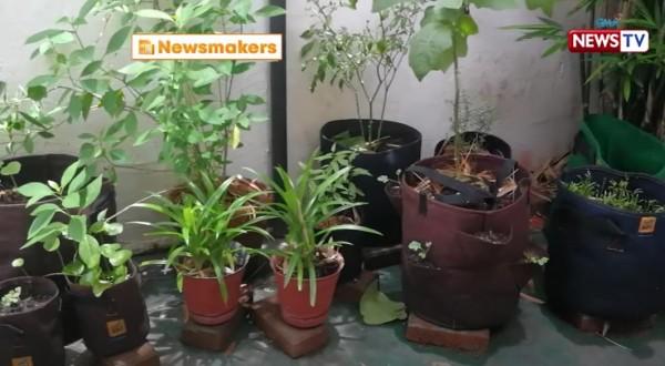 Bea Hardinera Garden