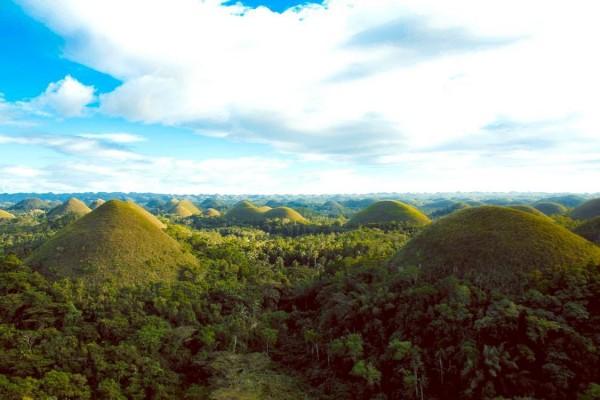 chocolate hills in bohol