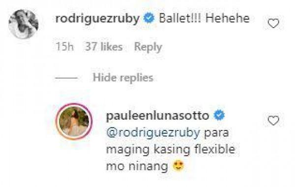 Pauleen Luna Sotto s Instagram comments