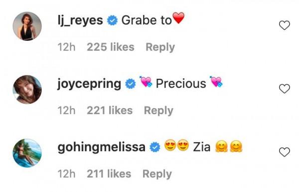Dingdong IG Comments