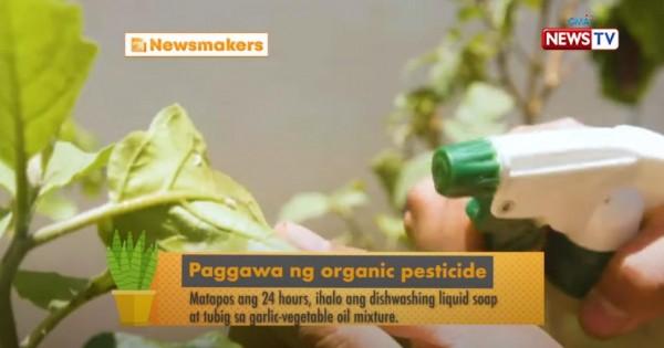 orgnanic pesticide